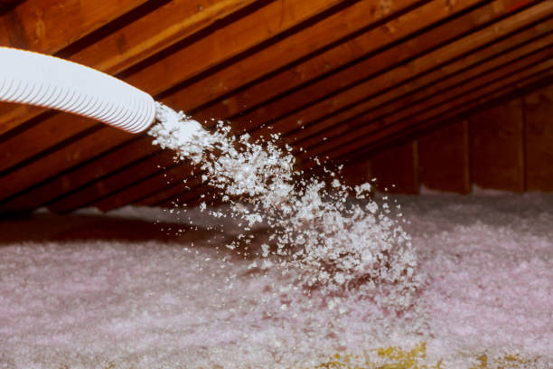 Best Residential Insulation in Zilwaukee, MI