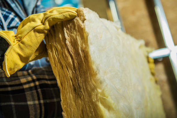 Best Specialized Insulation Services in Zilwaukee, MI