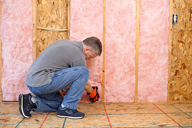 Best DIY Insulation Kits and Guidance in Zilwaukee, MI
